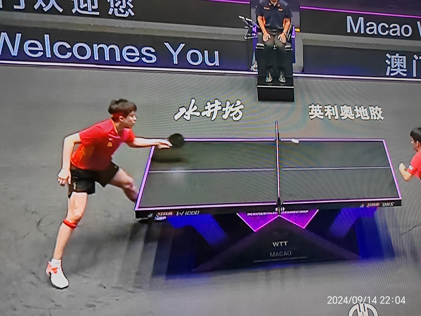 包含比利时乒乓球队翻盘德国乒乓球队,波尔绝境逆转的词条 包含比利时乒乓球队翻盘德国乒乓球队,波尔绝境逆转的词条