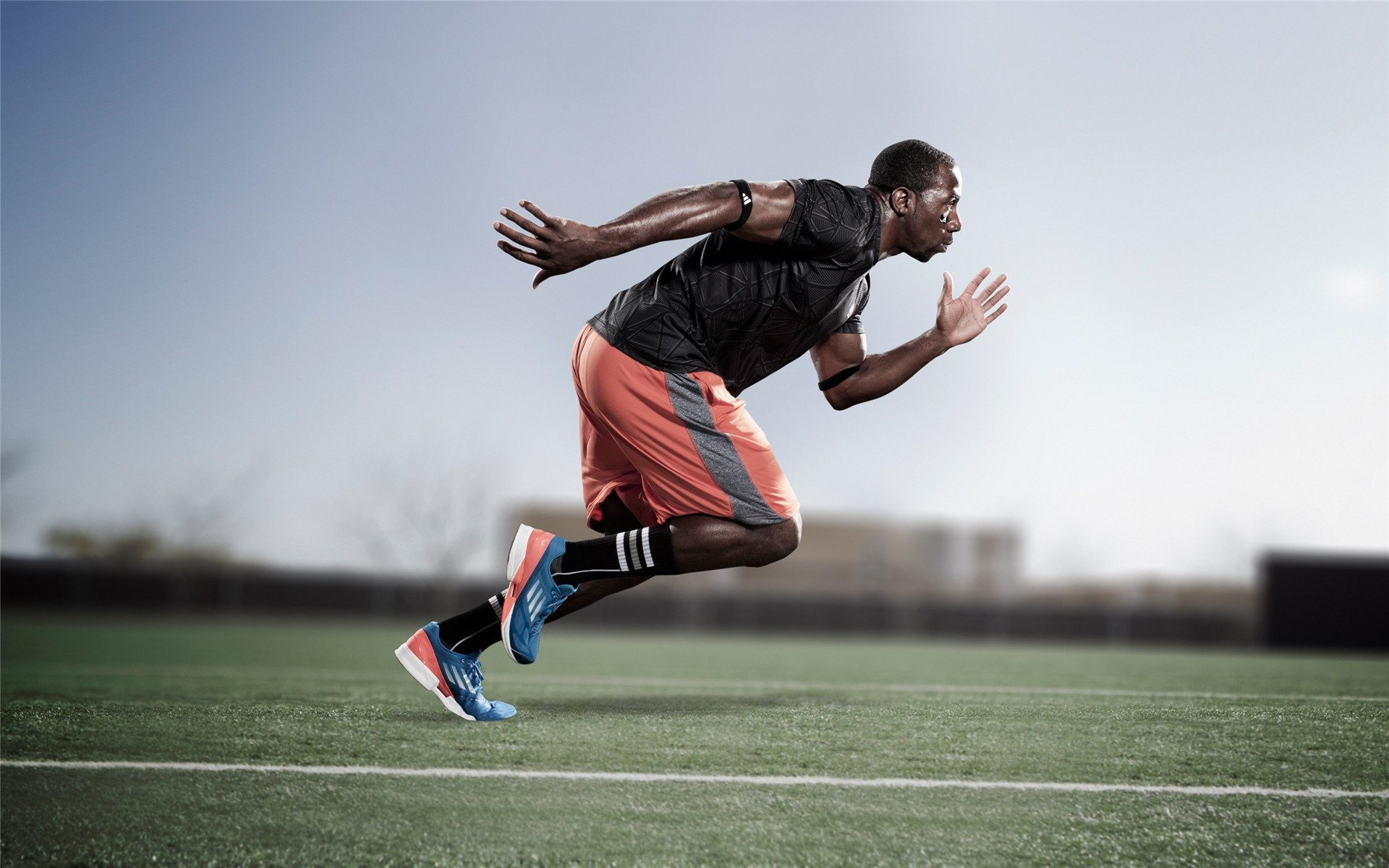 从红土到硬地，蒂姆美网完胜背后的蒙特卡洛启示